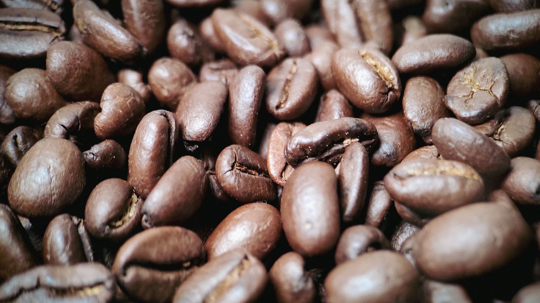 Roasted fresh for Bangladesh