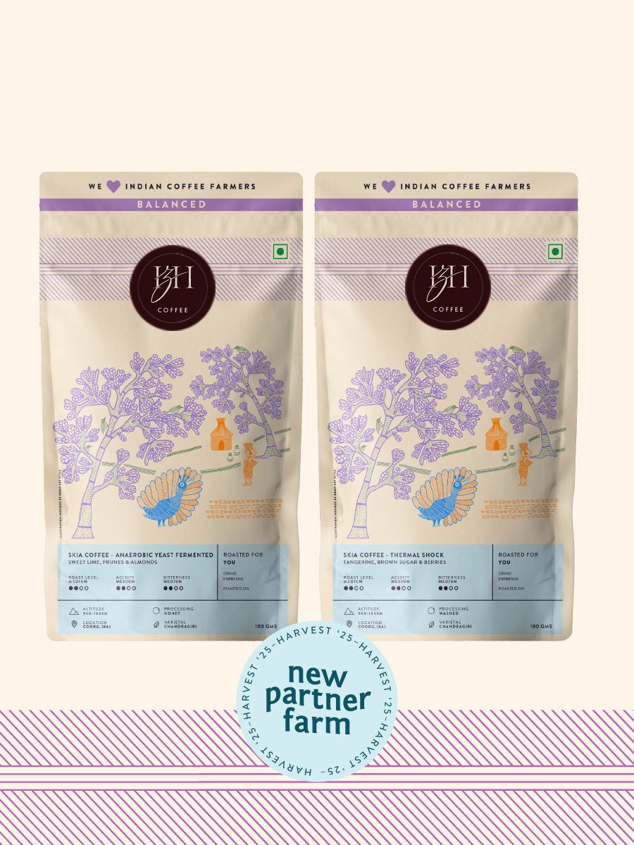 IZH Explorer Coffee (Pack of 2)